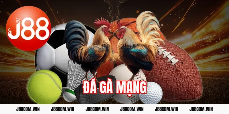 Đá gà mạng nhà cái – Cá cược online tốc độ cao cho bạn