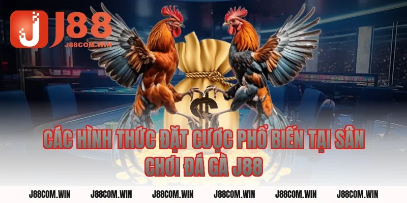 Các Hình Thức Đặt Cược Phổ Biến Tại Sân Chơi Đá Gà J88