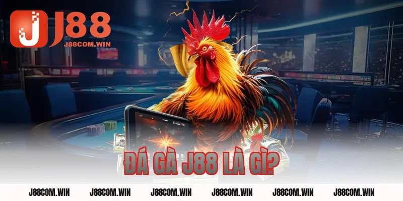 Đá Gà J88 Là Gì?